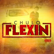 FleXin