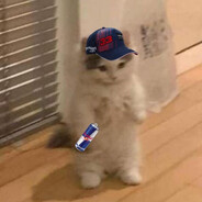 FrawgyFresh