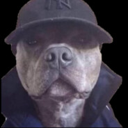 MikeDawg