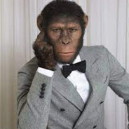 HOMO ERECTUS