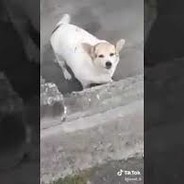 DanGerou$