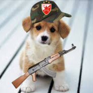 MadA