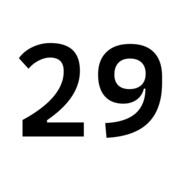 船长29