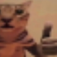 TheLionDoesNotEco