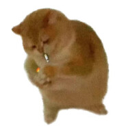 饭桶