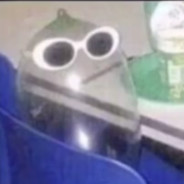 Жечка Дырова
