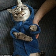 ImHooman