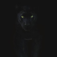 TRASH_killer