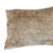 Stinky Pillow