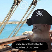 Meb