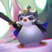TFT enjoyer