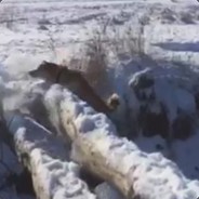 Фиаско Братана
