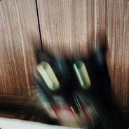 cO5Mo