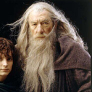 Gandalf der Braune