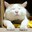 Group Avatar