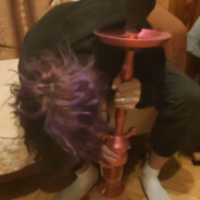 Любитель змеек