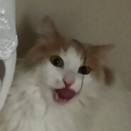 fati