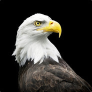 iEagle(MD)