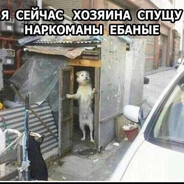 Анальный саморез