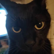 Paco