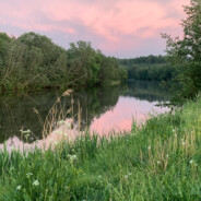 aniaj31
