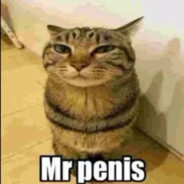 MR. PENIS