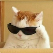2D Тян