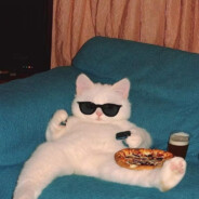 Katze_Neun