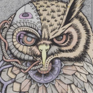 RunePlays(Owl)