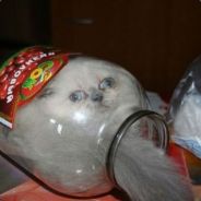 數學功課