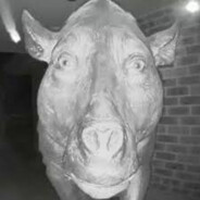 Huvibajnok