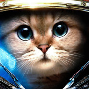 FreddysCat