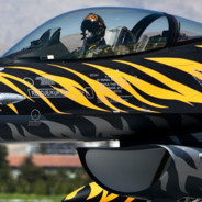 Pilot