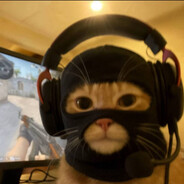 Renatkooo