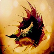 Jinjo89