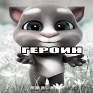 стірій біг