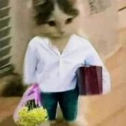 Sɐrʞastiʞ