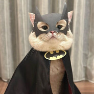 🐱michau-🐱
