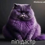 Ostryjpuk