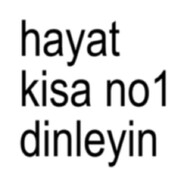 lup1N