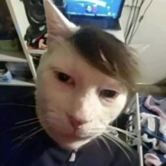 _Mupoxa