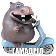 can | бабко с прівет