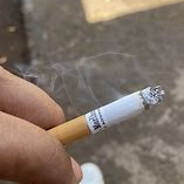 Marlboro Advance