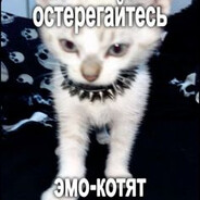 TPEHEP