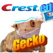 gecko
