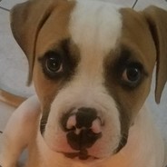 Victor