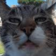Snonst