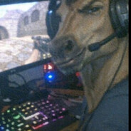 Avatar de EL CABALLO PACO