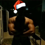 barbell bee