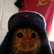 Gato soviético